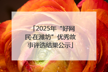 2025年“好网民·在潍坊”优秀故事评选结果公示