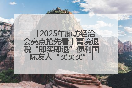 2025年廊坊经洽会亮点抢先看丨离境退税“即买即退”便利国际友人“买买买”