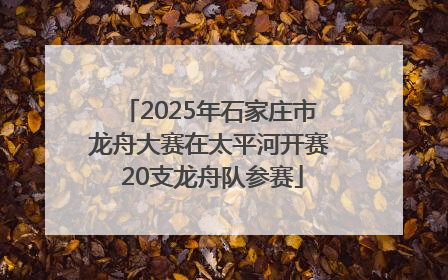 2025年石家庄市龙舟大赛在太平河开赛 20支龙舟队参赛