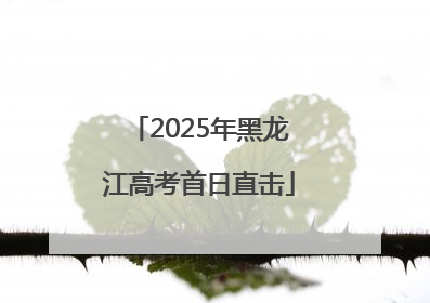2025年黑龙江高考首日直击