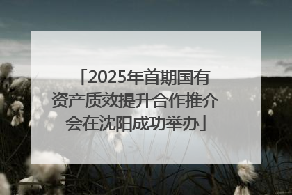 2025年首期国有资产质效提升合作推介会在沈阳成功举办