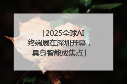 2025全球AI终端展在深圳开幕，具身智能成焦点