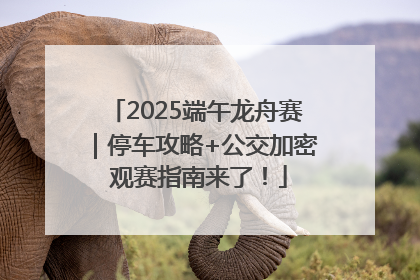 2025端午龙舟赛｜停车攻略+公交加密 观赛指南来了！