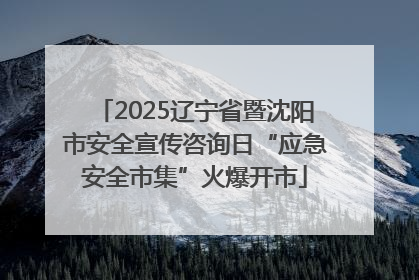 2025辽宁省暨沈阳市安全宣传咨询日“应急安全市集”火爆开市
