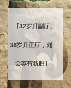 32岁升副厅、38岁升正厅，刘会英有新职