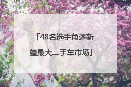 48名选手角逐新疆最大二手车市场