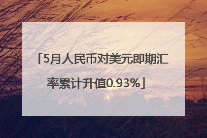 5月人民币对美元即期汇率累计升值0.93%