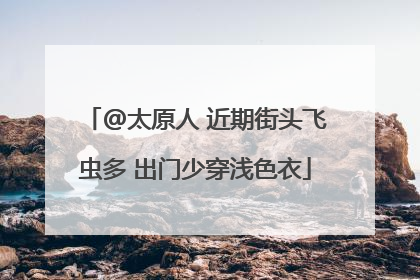 @太原人 近期街头飞虫多 出门少穿浅色衣