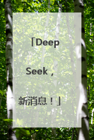 DeepSeek，新消息！