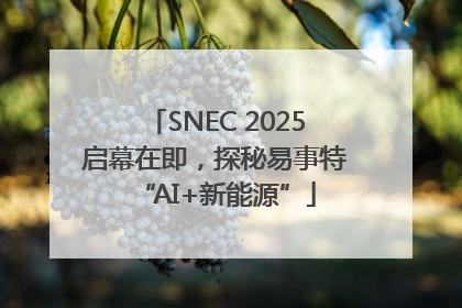 SNEC 2025启幕在即，探秘易事特“AI+新能源”