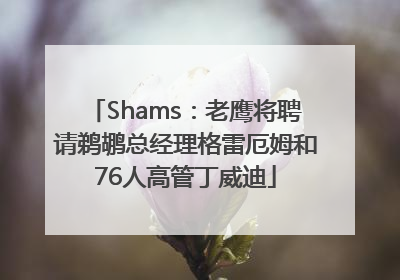 Shams：老鹰将聘请鹈鹕总经理格雷厄姆和76人高管丁威迪
